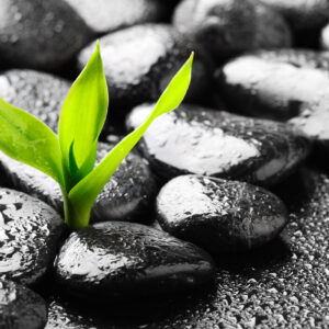 3/6/26 - Child-Centered Play Therapy and Attachment Trauma